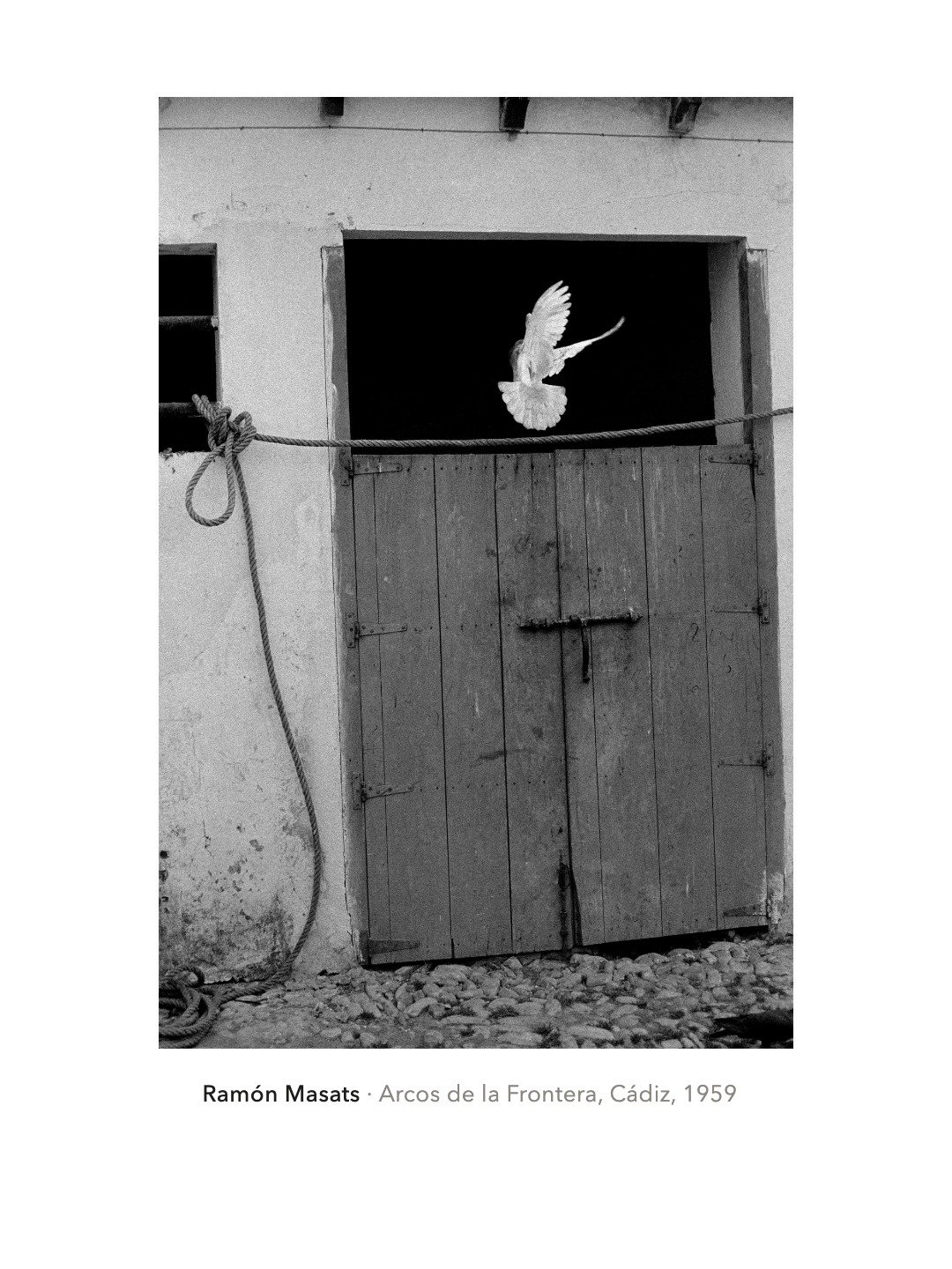 Five, Chapter 5 · Madrid (10/16)