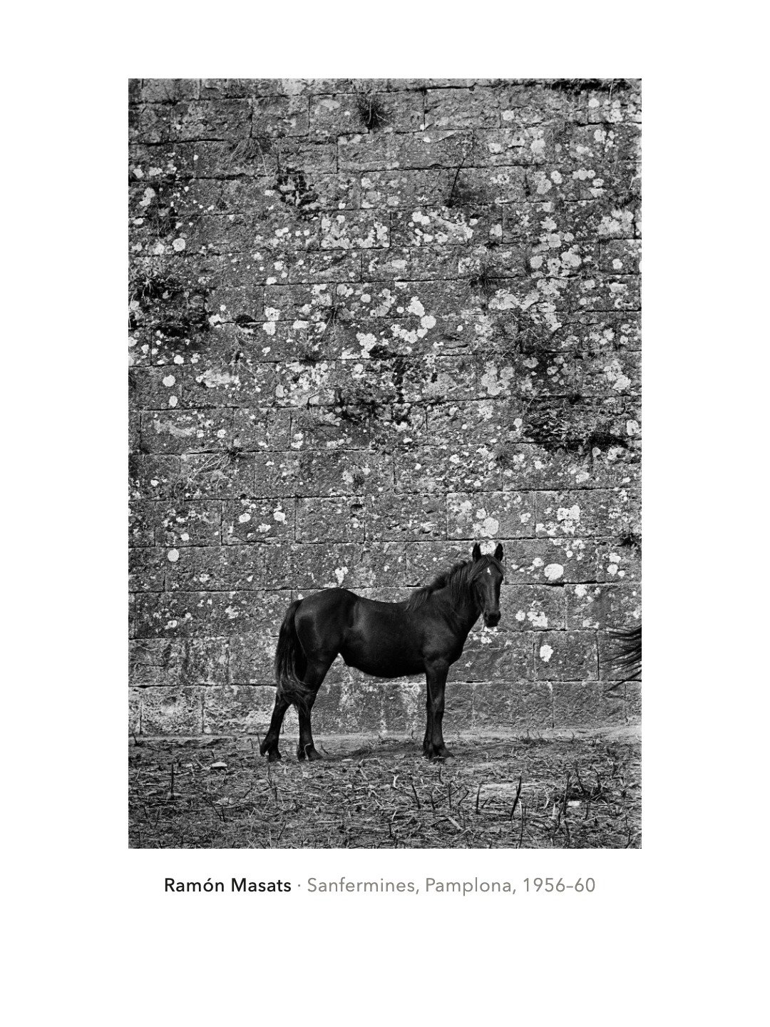 Five, Chapter 6 · Pamplona (16/20)
