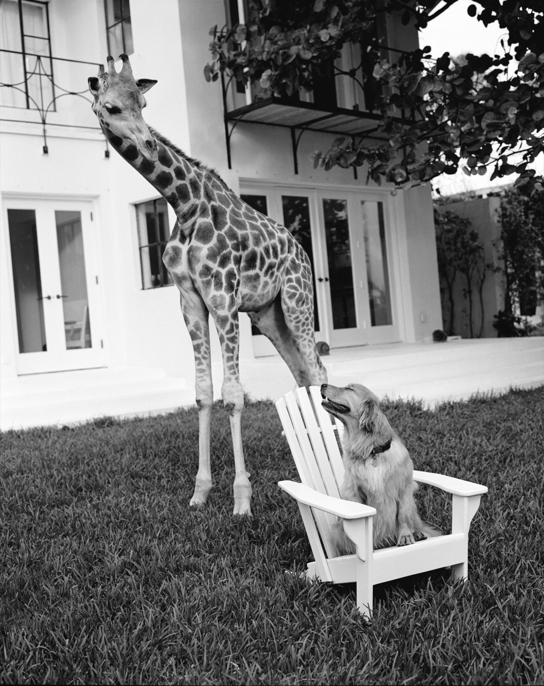 Bruce Weber, True and Tweet, Golden Beach, FL, 2003