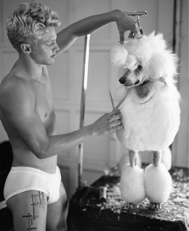 Bruce Weber, Clark Bockelman grooming a French poodle, Golden Beach, Florida, 2013