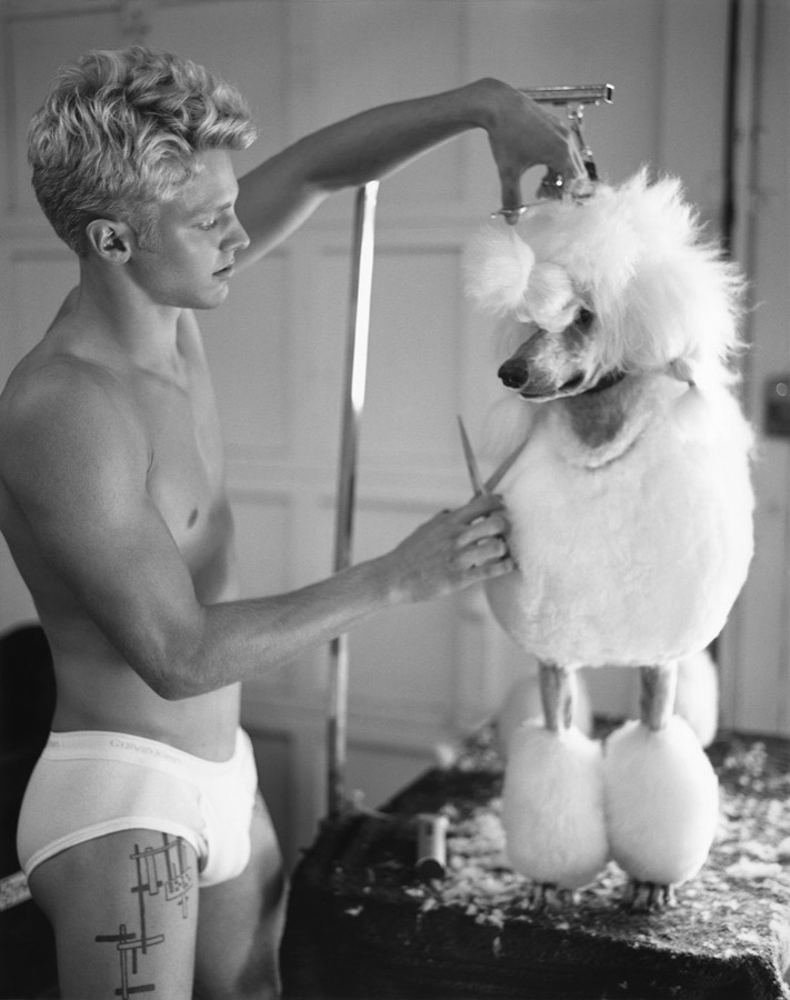 Clark Bockelman grooming a French poodle, Golden Beach, Florida