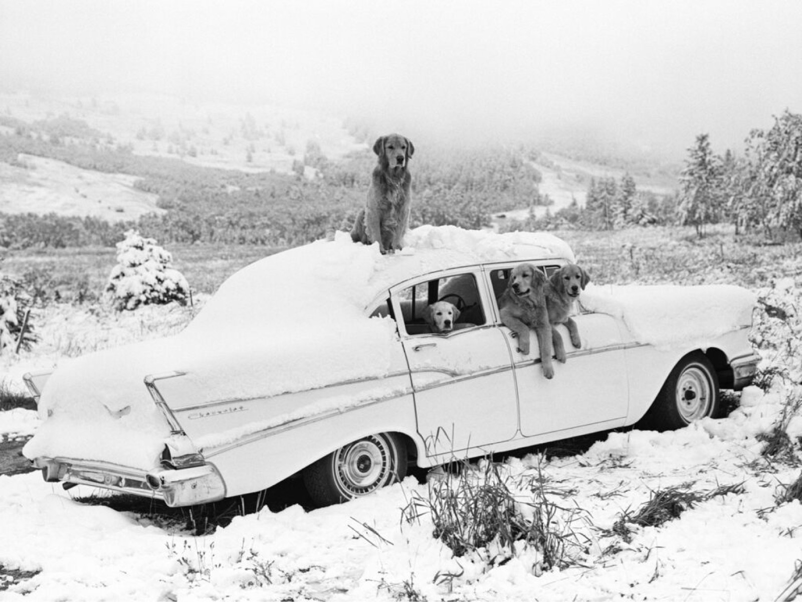 Bruce Weber, “The Gang,” Freak Snowstorm in August, Little Bear Ranch, Montana, 1992
