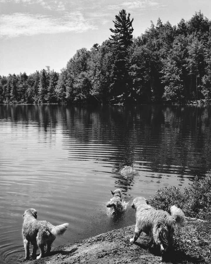 Bruce Weber, Camp Longwood, Adirondack Park, New York, 1995