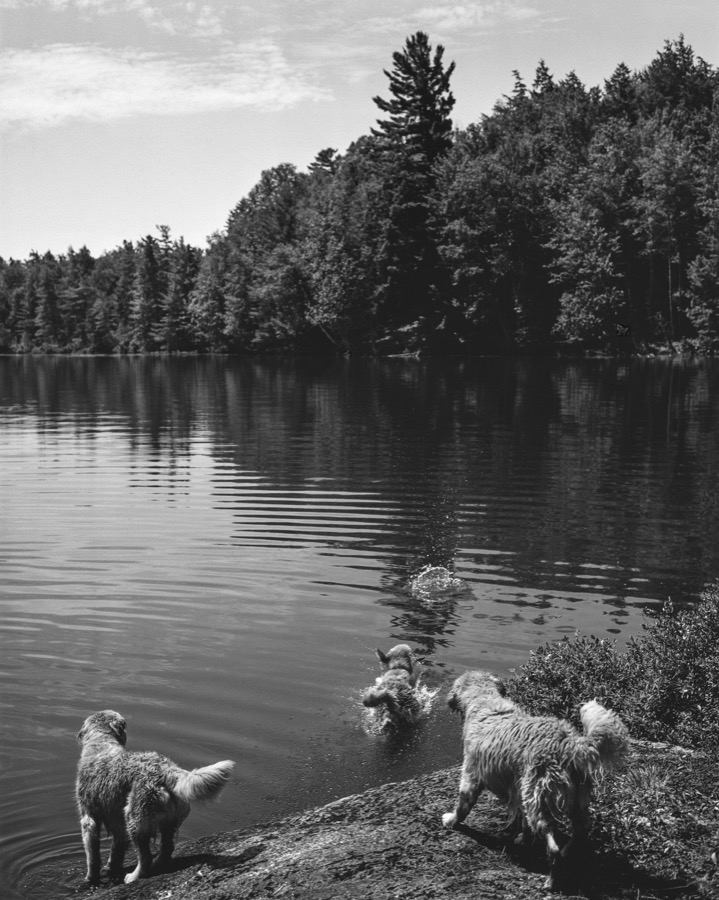Camp Longwood, Adirondack Park, New York