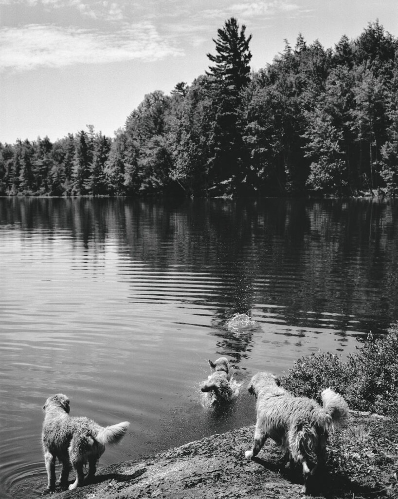 Bruce Weber, Camp Longwood, Adirondack Park, New York, 1995