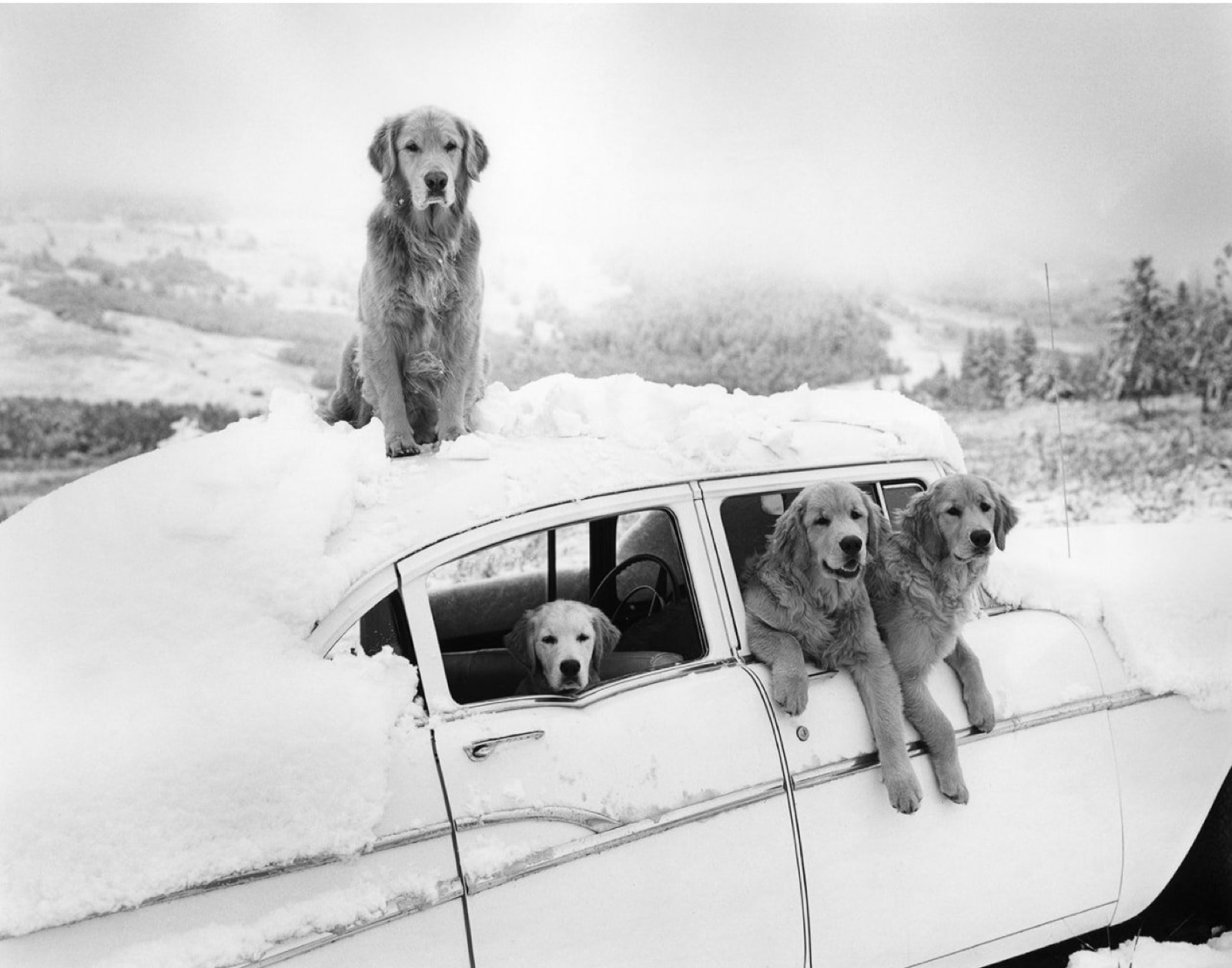 Bruce Weber, Summer Snowstorm, Little Bear Ranch, McLeod, MT, 1992