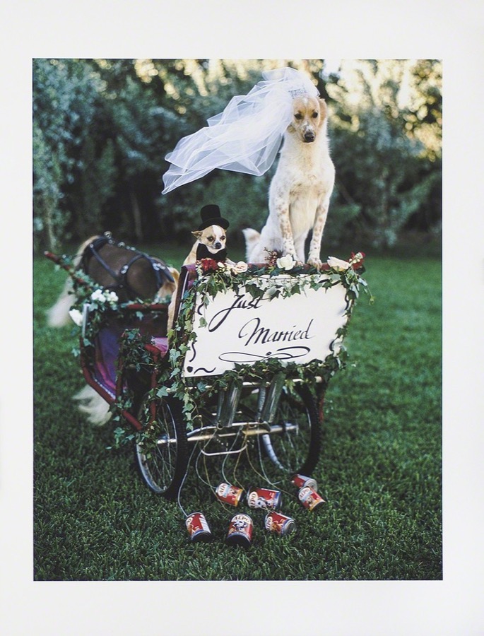 Bruce Weber, Untitled, 2016