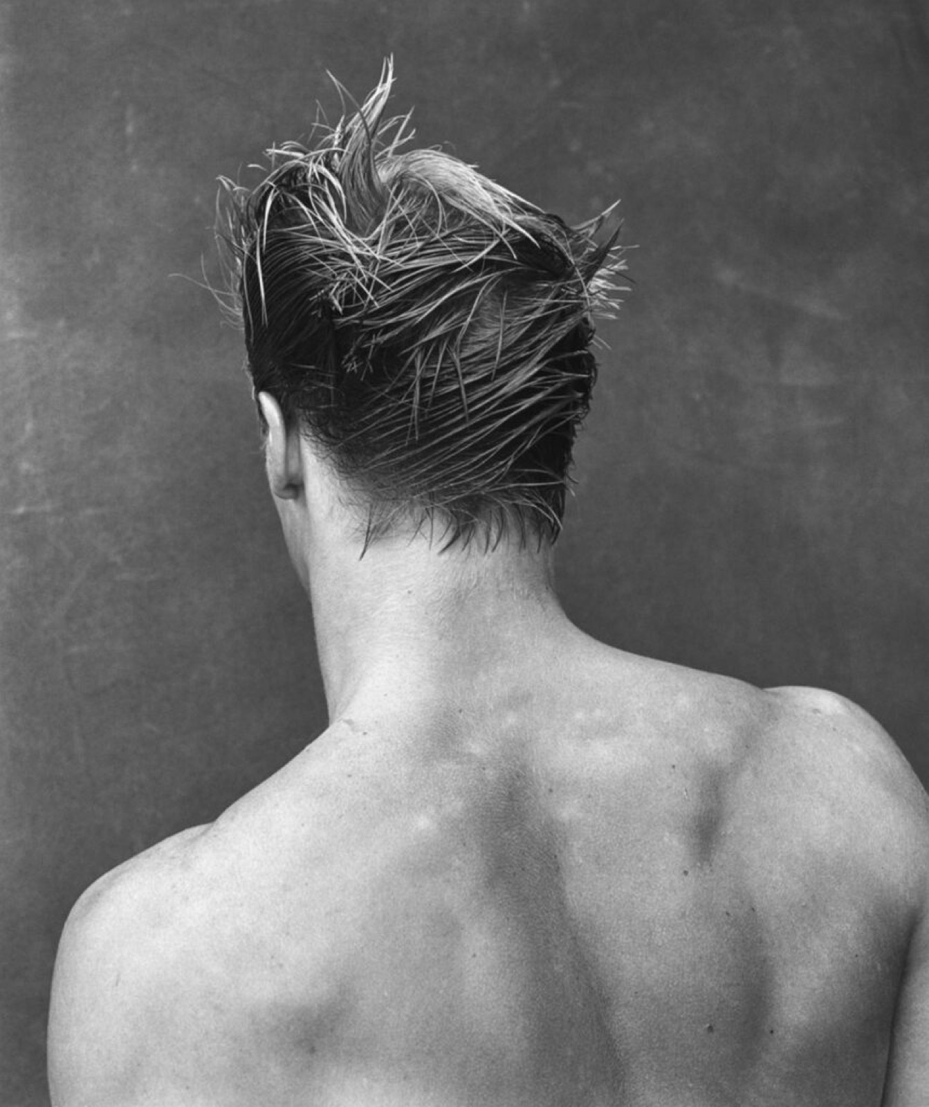 Bruce Weber, John Sauerland, Olympic Swimmer, Hall of Fame Pool, 1983