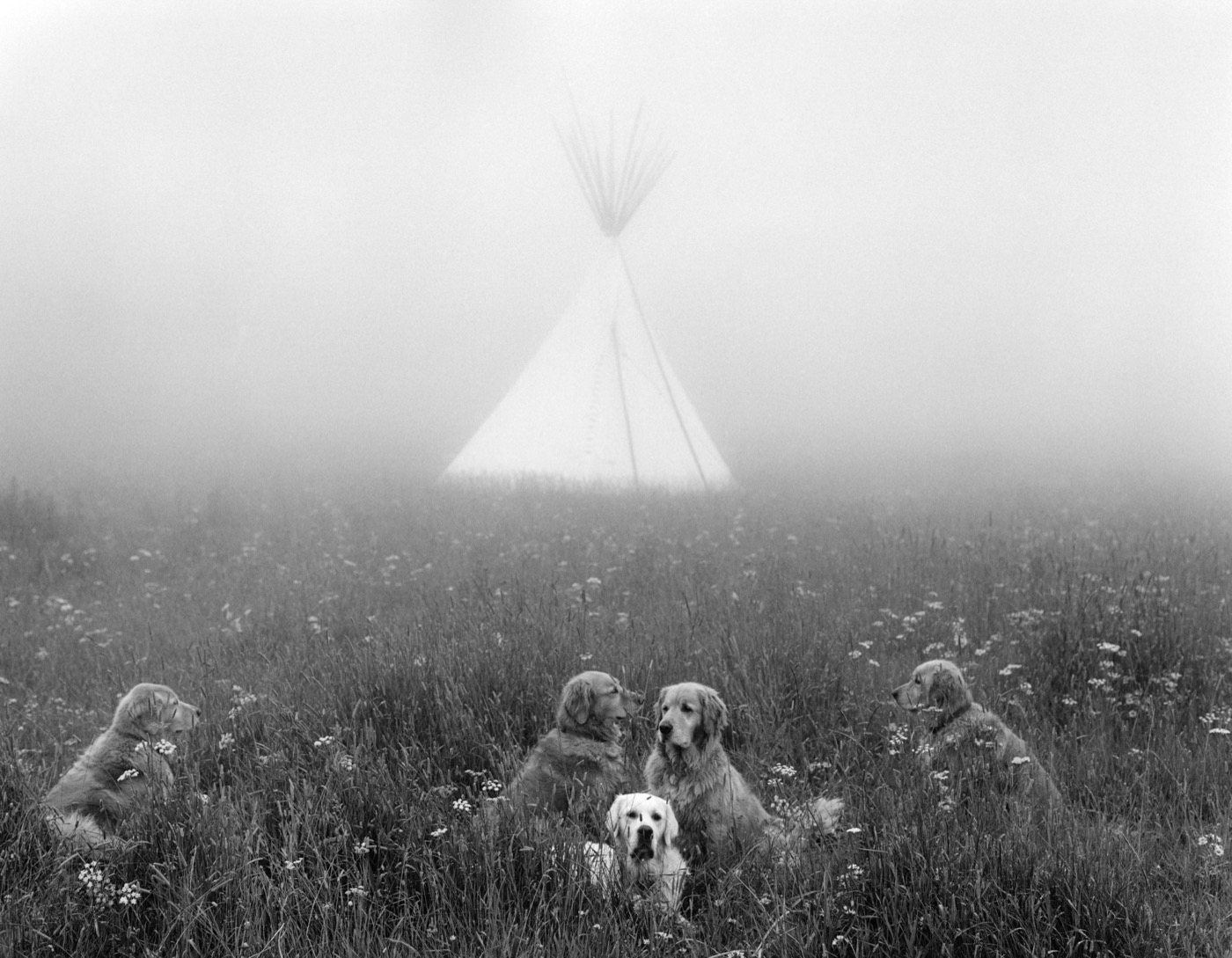 Bruce Weber, The Gang in Big Sky Country, Little Bear Ranch, McLeod, Montana, 1997