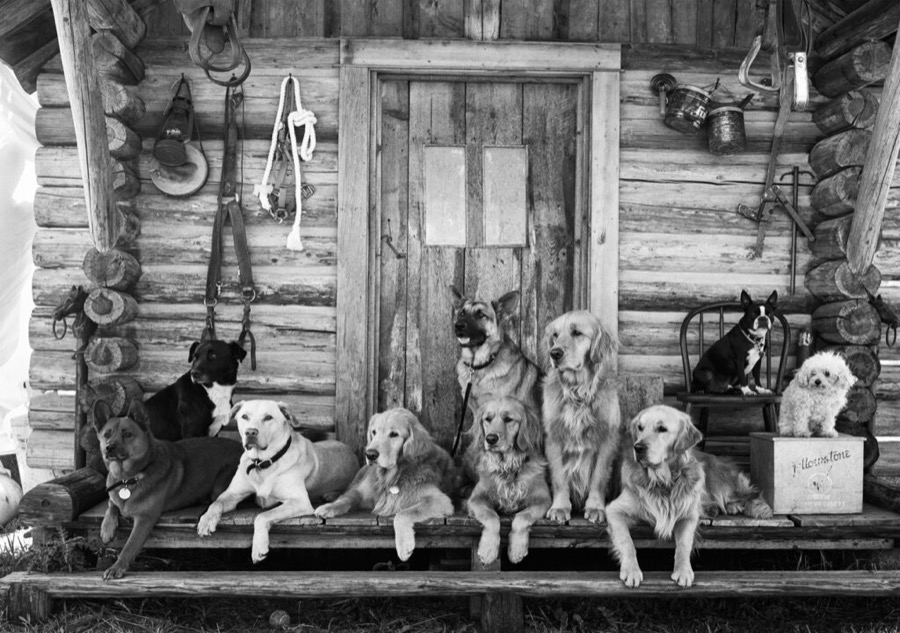 Bruce Weber, The Gang at Little Bear Ranch, McLeod, Montana, 1995