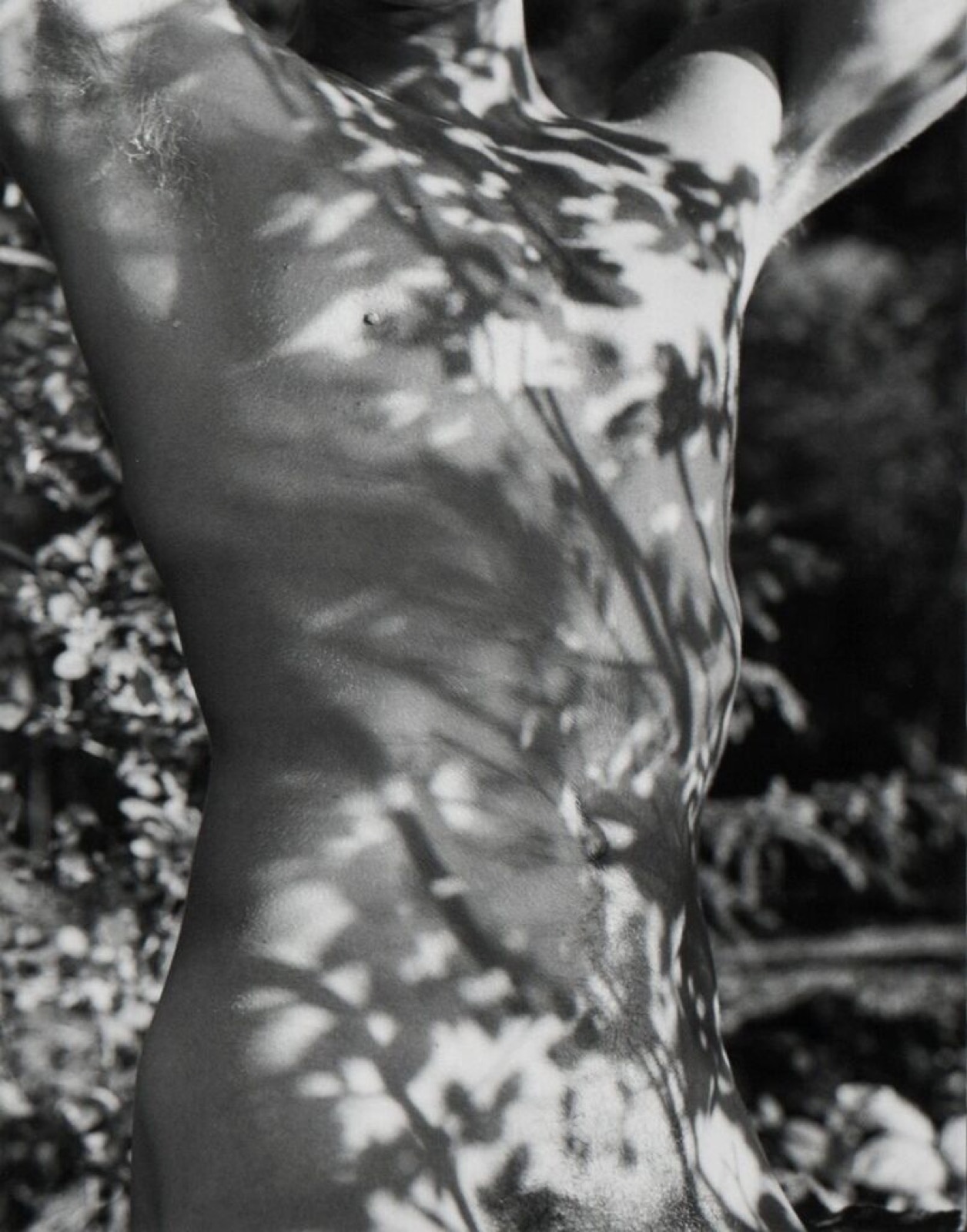 Bruce Weber, Tyke, Long Pond, Adirondack Park, New York, 1988