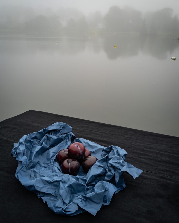 Cig Harvey, Five Plums Wrapped in Fog, 2025