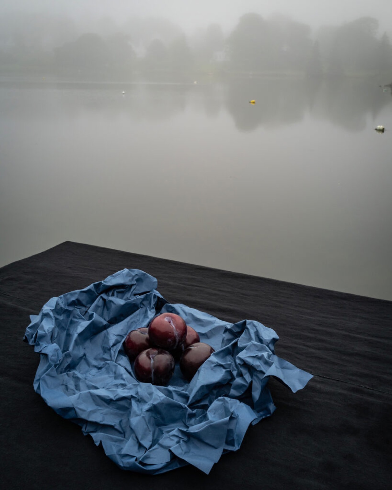 Cig Harvey, Five Plums Wrapped in Fog, 2025