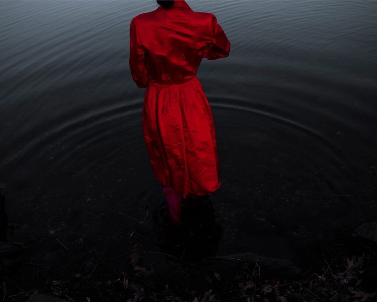 Cig Harvey, The Lake (Dusk), 2022