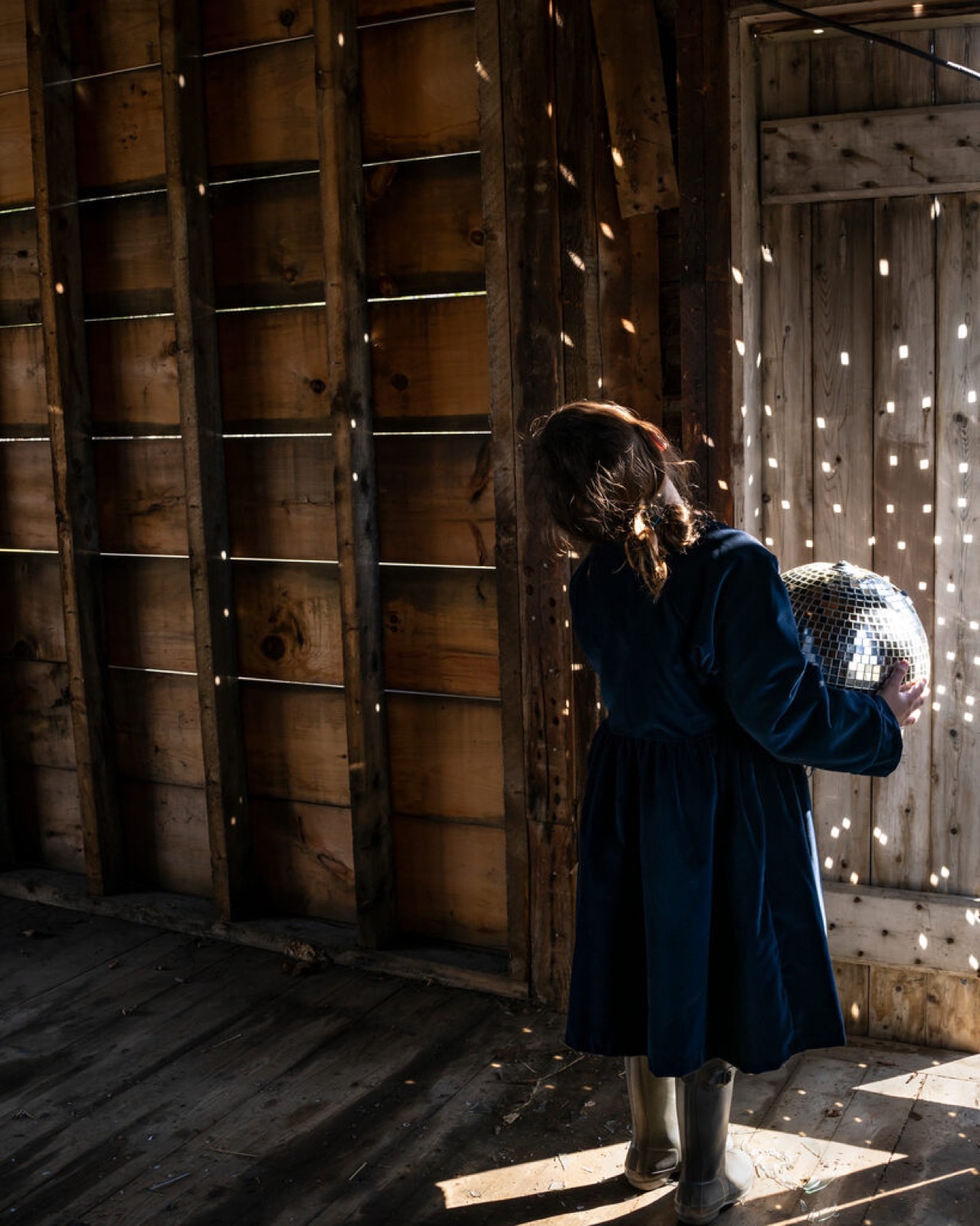 Cig Harvey, Scout & The Disco Ball, Rockport, Maine, 2020