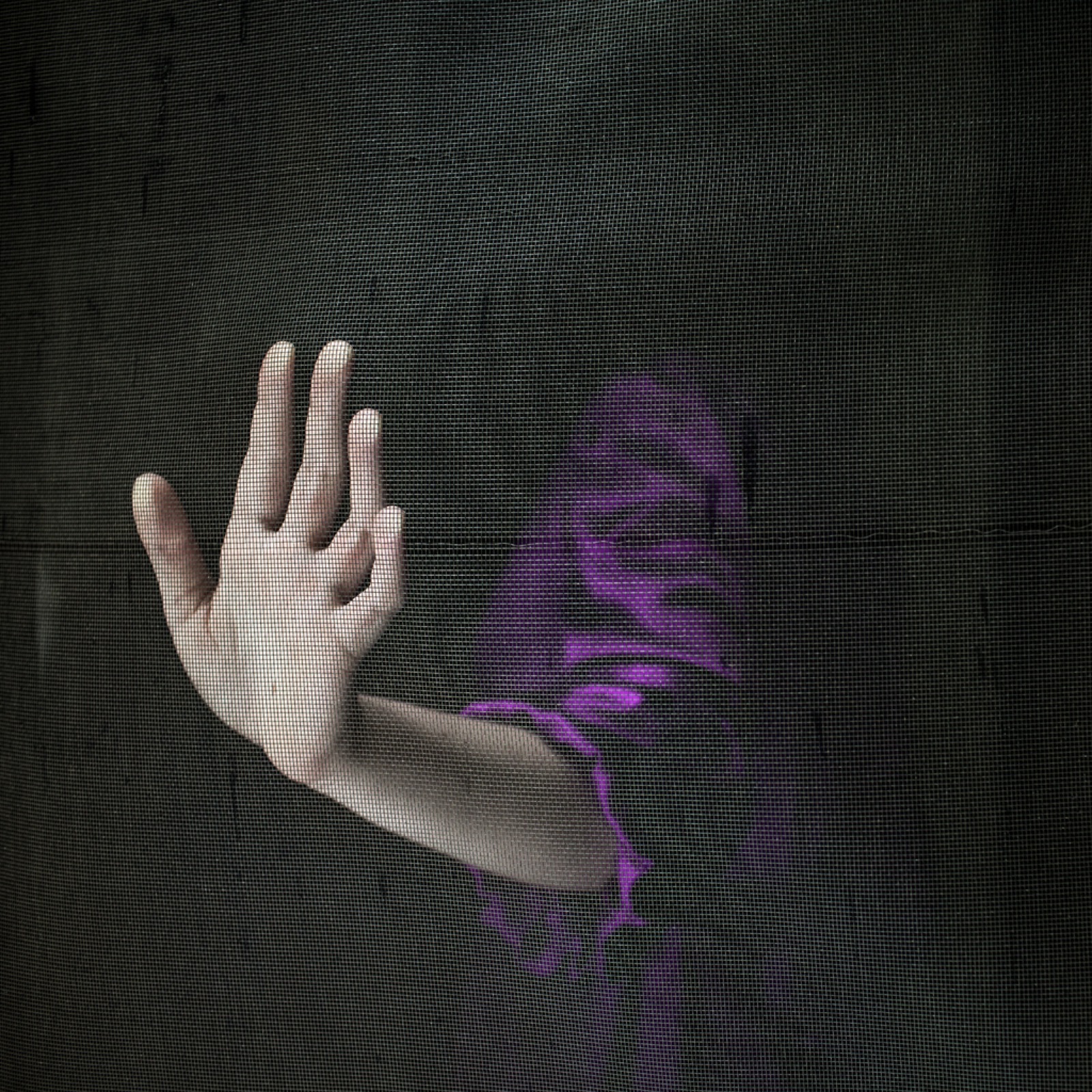 Cig Harvey, The Screen Door, Warren, Maine, 2013