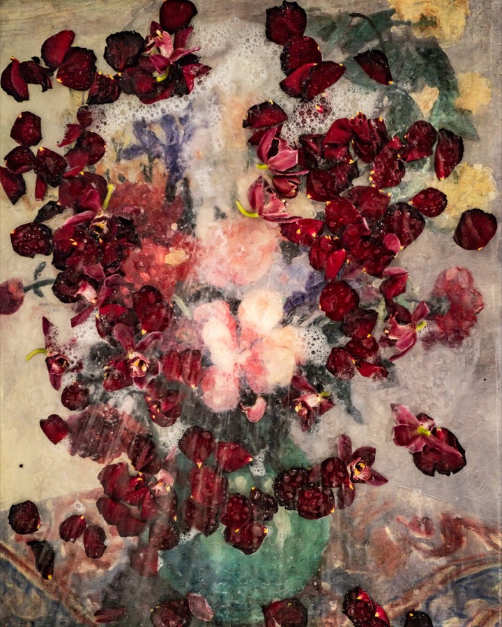 Cig Harvey, Orchids, Roses, & Oil painting (Soaking) Rockport, Maine, 2021