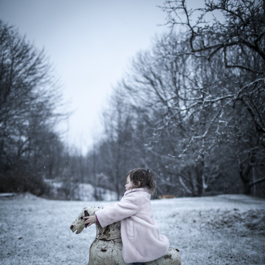 Cig Harvey, Rocking Horse, Scout, Rockport, Maine, 2014