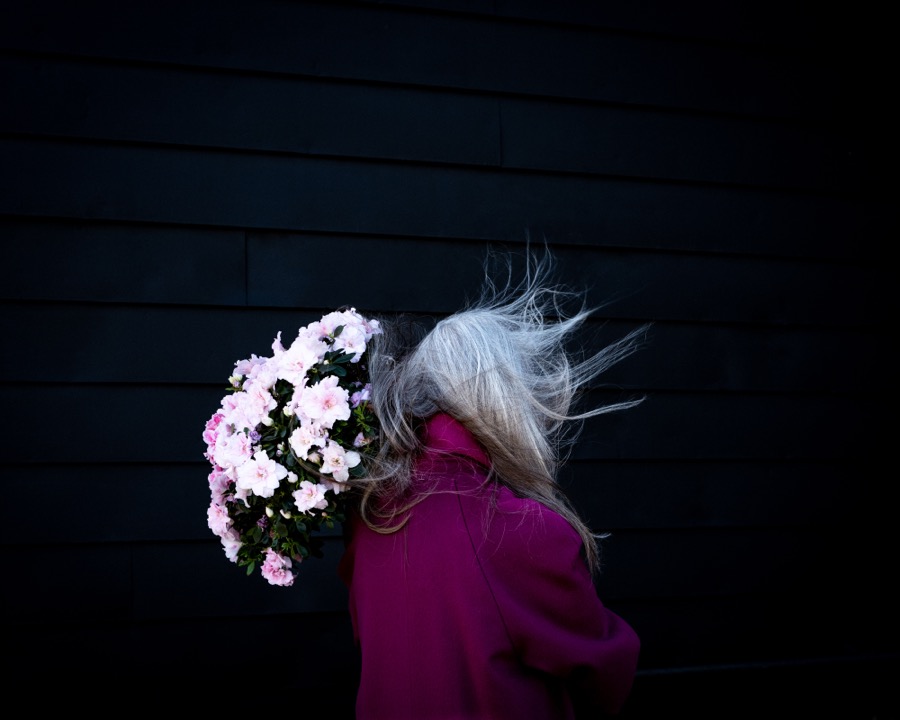 Cig Harvey, Azaleas, Rockland, Maine, 2021