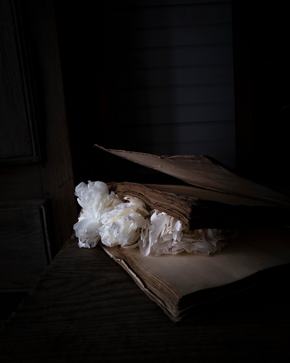 Cig Harvey, Flowers, When We have No Words, (White Peonies), 2025