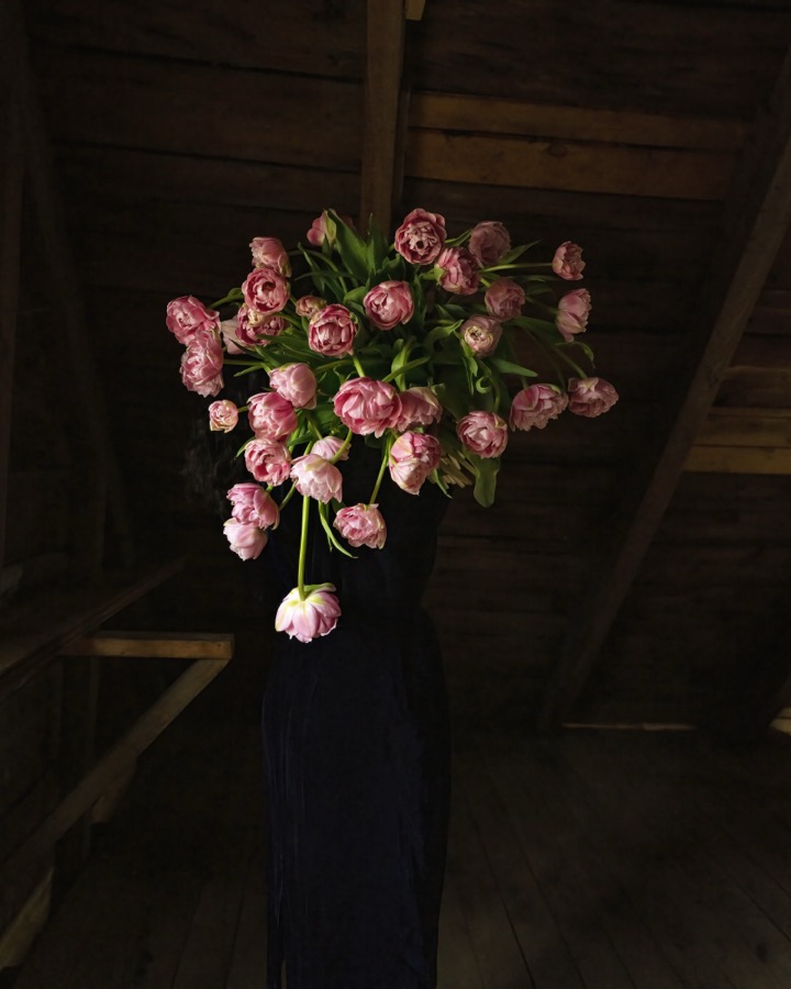 Cig Harvey, Pink Parrot Tulips (Floating), Rockport, Maine, 2021