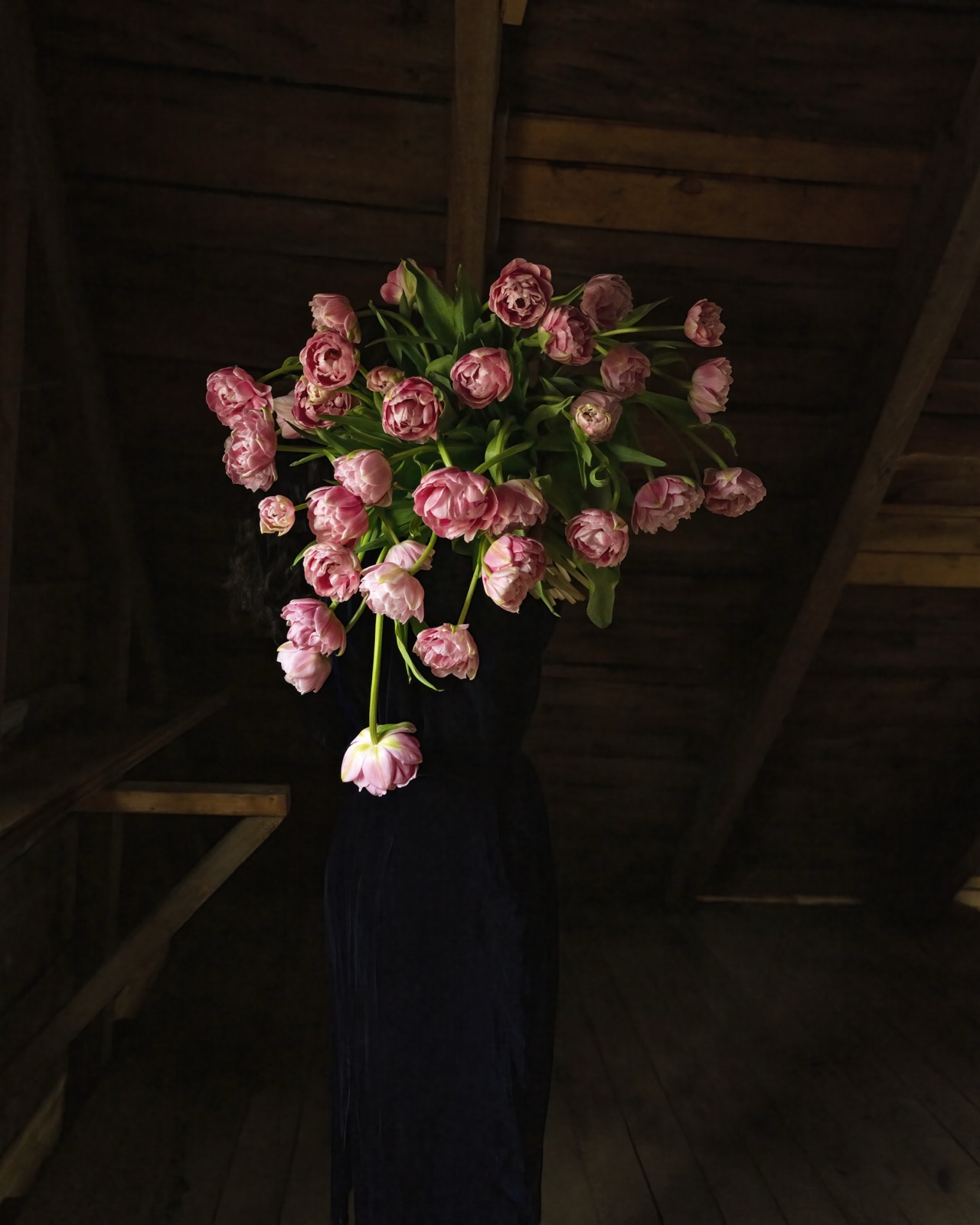 Cig Harvey, Pink Parrot Tulips (Floating), Rockport, Maine, 2021