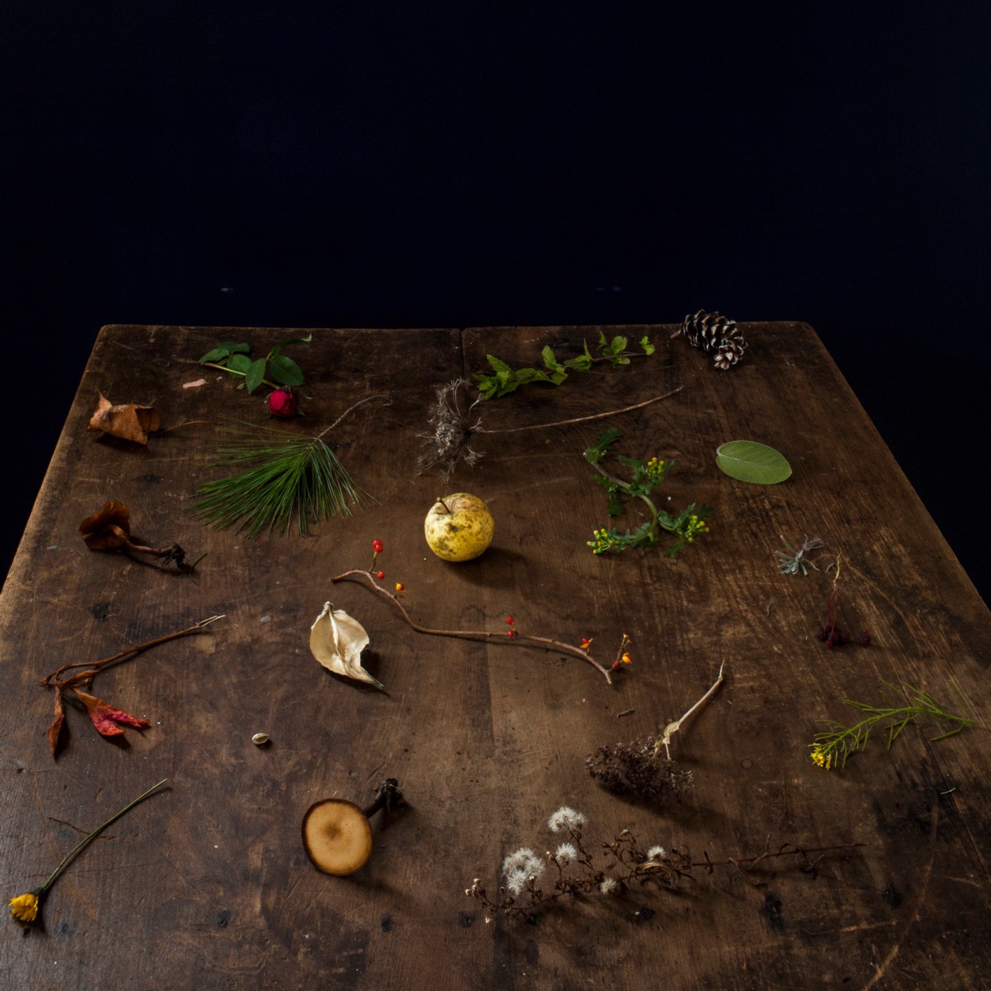 Cig Harvey, Fall Table, Rockport, Maine, 2013