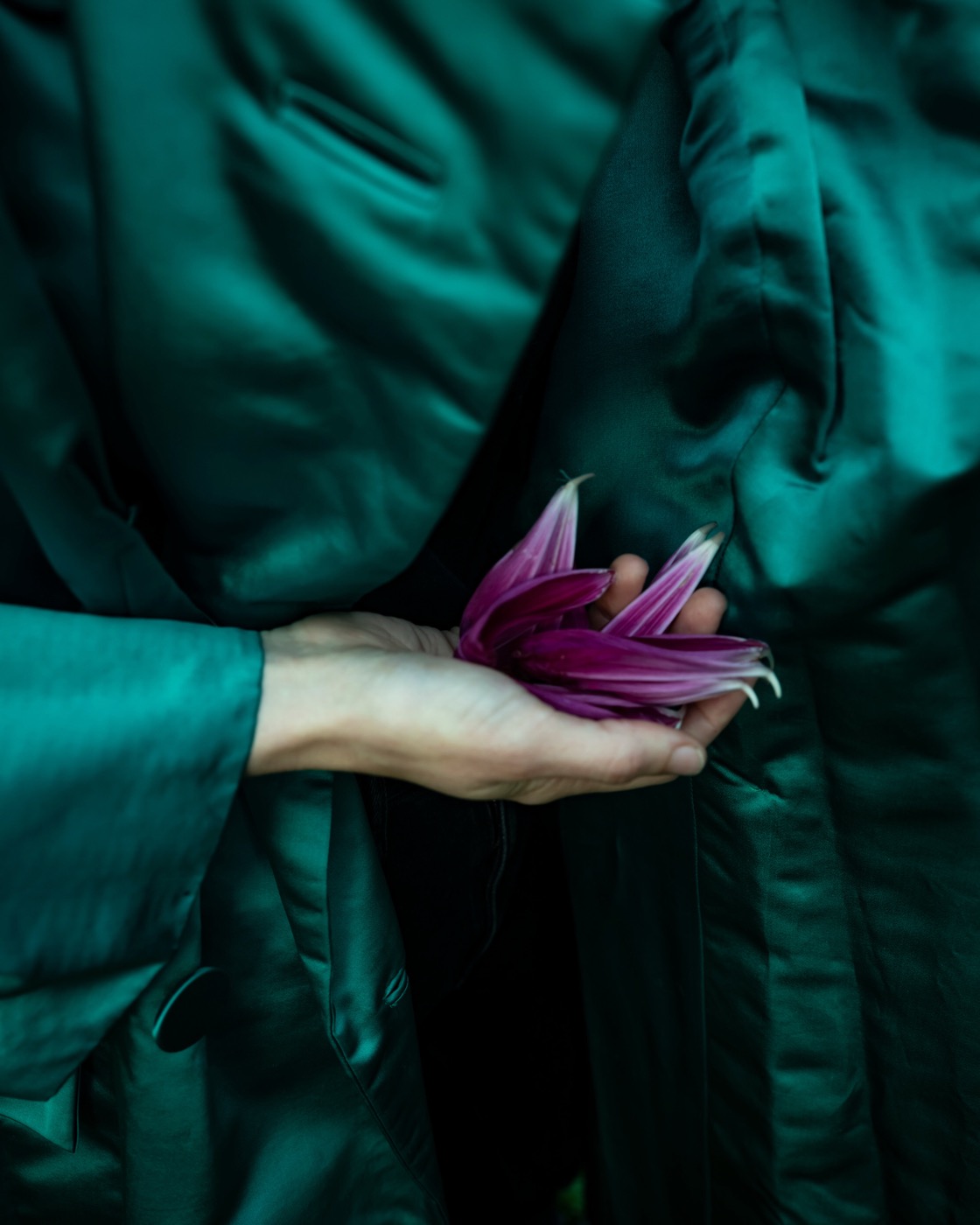 Cig Harvey, Emerald Coat with Dahlia Petal, Union, Maine, 2019
