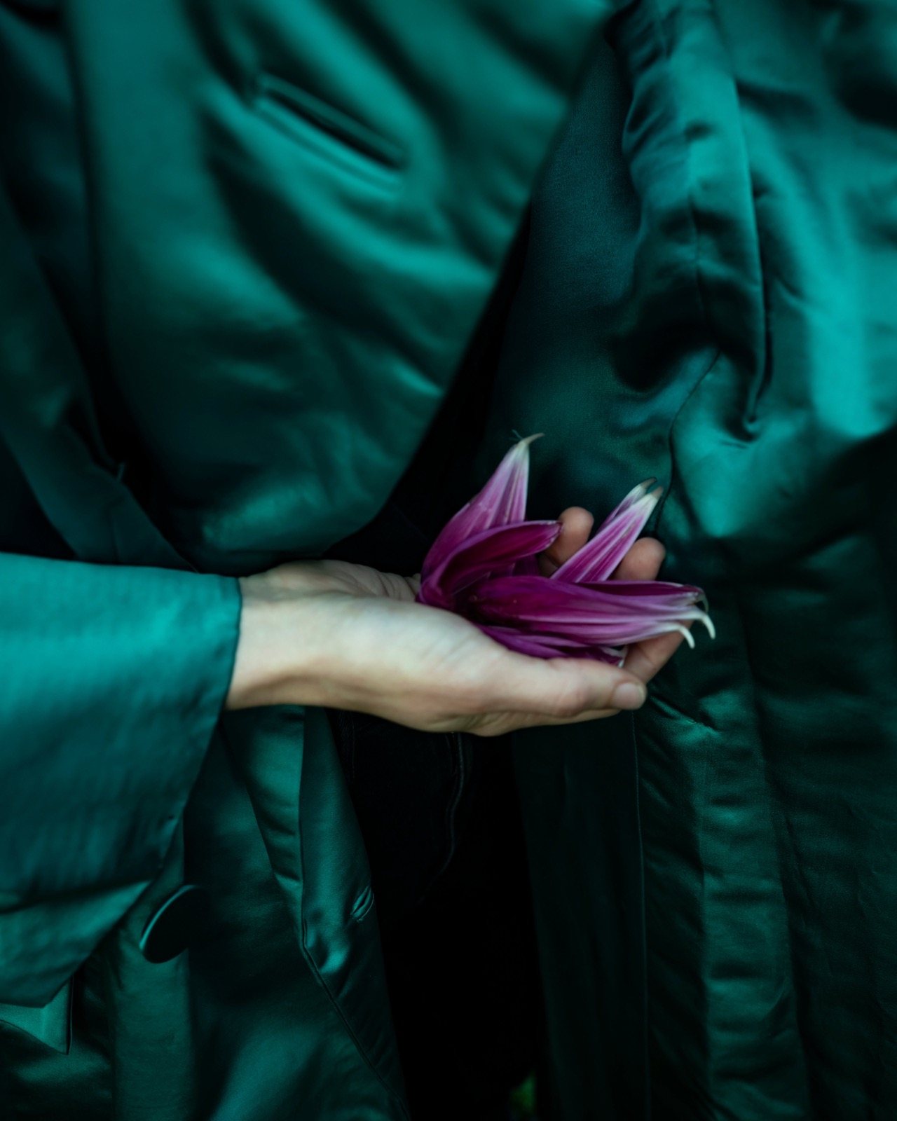 Cig Harvey, Emerald Coat with Dahlia Petal, Union, Maine, 2019