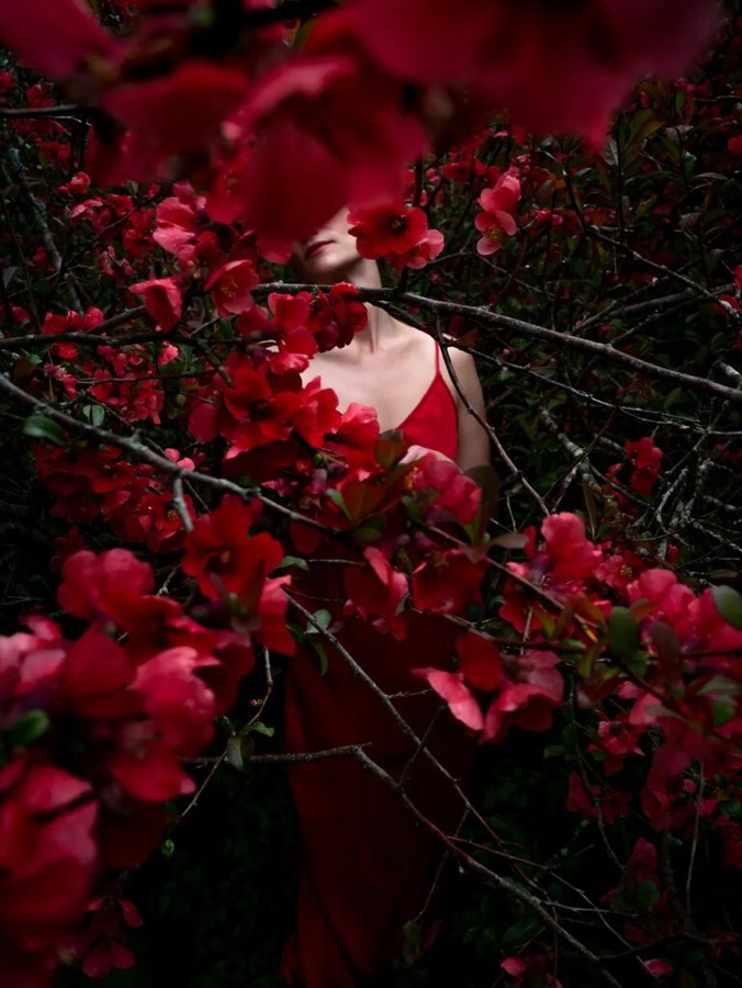 Cig Harvey, Quince (Ashley), Hope, Maine, 2025