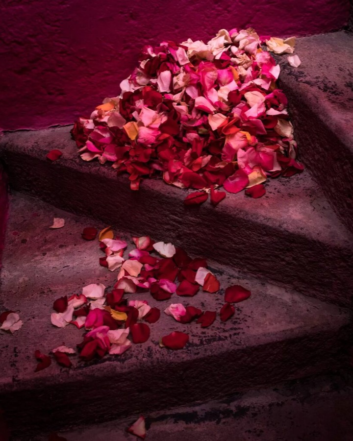 Cig Harvey, Rose Petals on the Stairs, Mexico, 2020