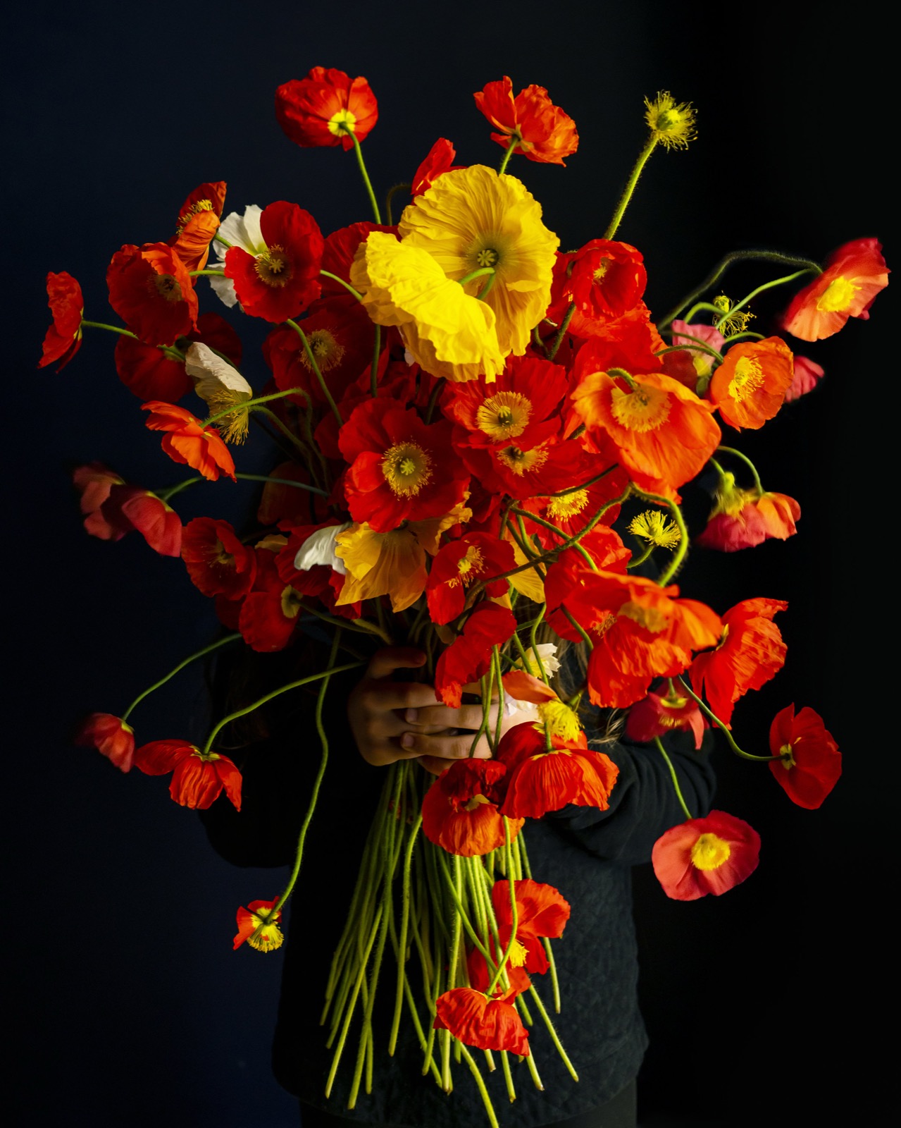 Cig Harvey, Poppies (Exploding), Rockport, Maine, 2020