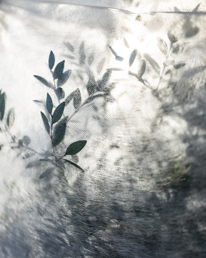 Cig Harvey, Covered Greens, London, England, 2019
