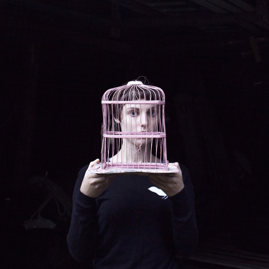 Cig Harvey, Birdcage, Sadie, Tenants Harbor, Maine, 2013
