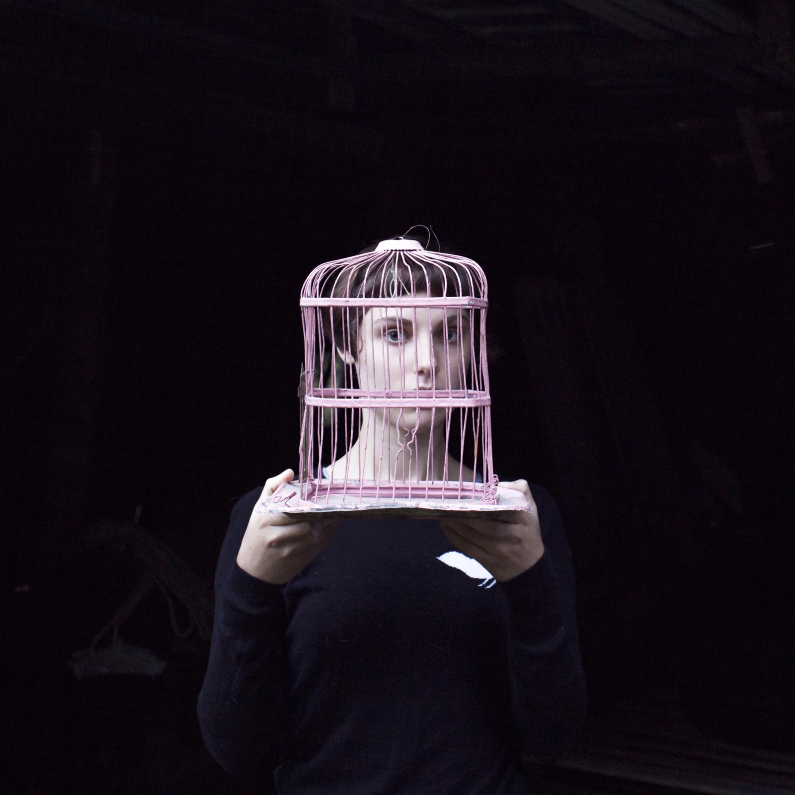 Cig Harvey, Birdcage, Sadie, Tenants Harbor, Maine, 2013