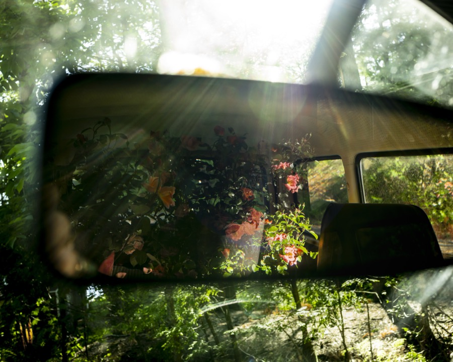 Cig Harvey, Rear View Mirror, Lincolnville, Maine, 2020