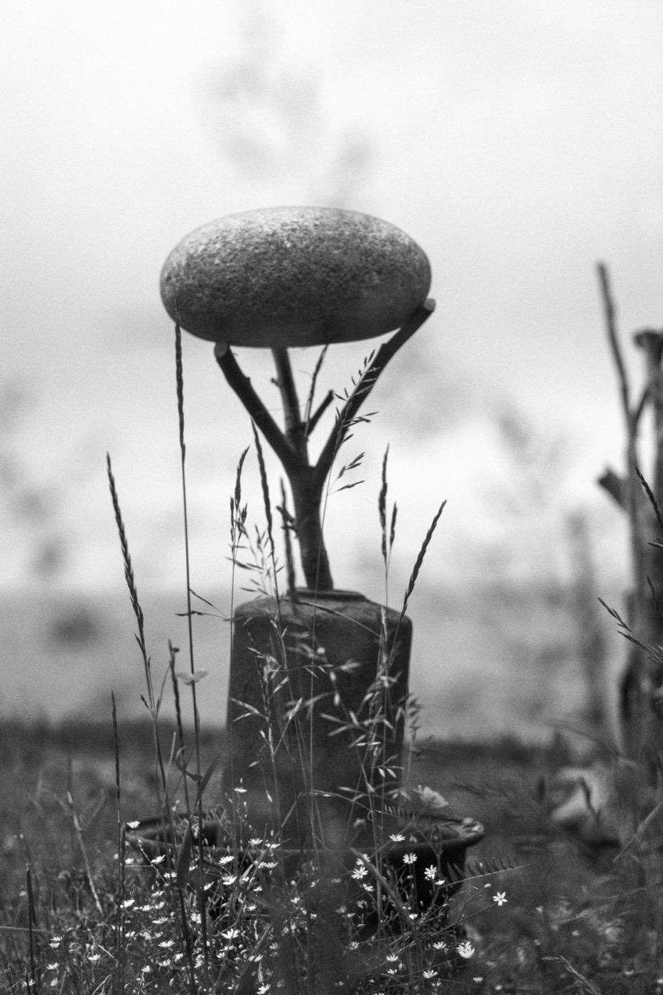 Clark Winter, Stone Egg, 1998