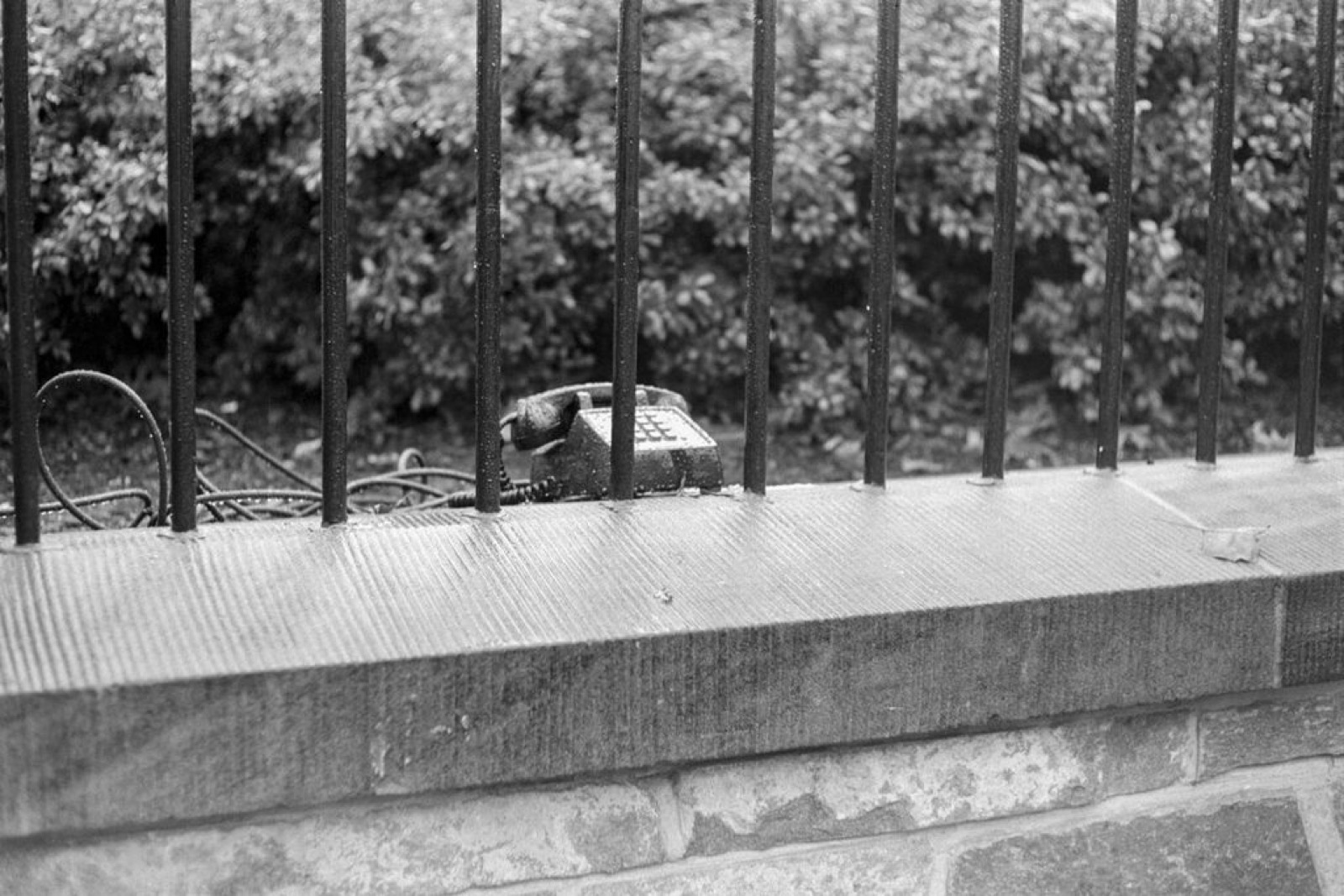Clark Winter, Phone, White House Lawn, 1970