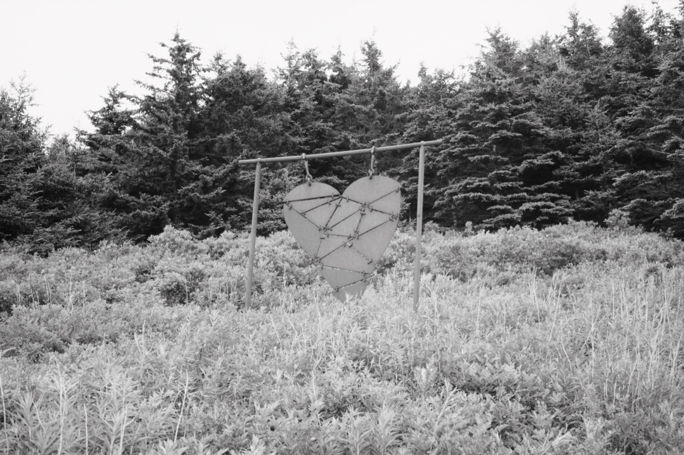Clark Winter, June's Heart, 1998