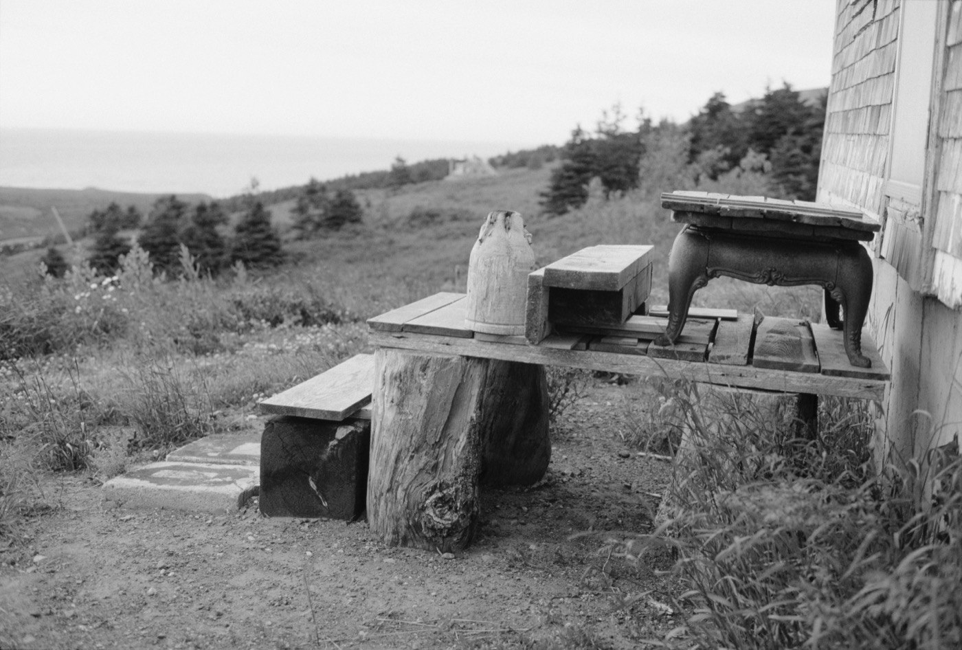 Clark Winter, Driftwood Steps, 1998