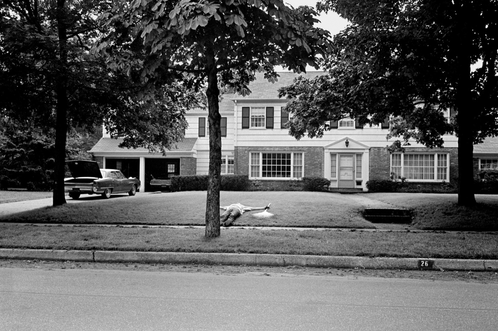 Clark Winter, Gardener, Garden City, New York City, 1971