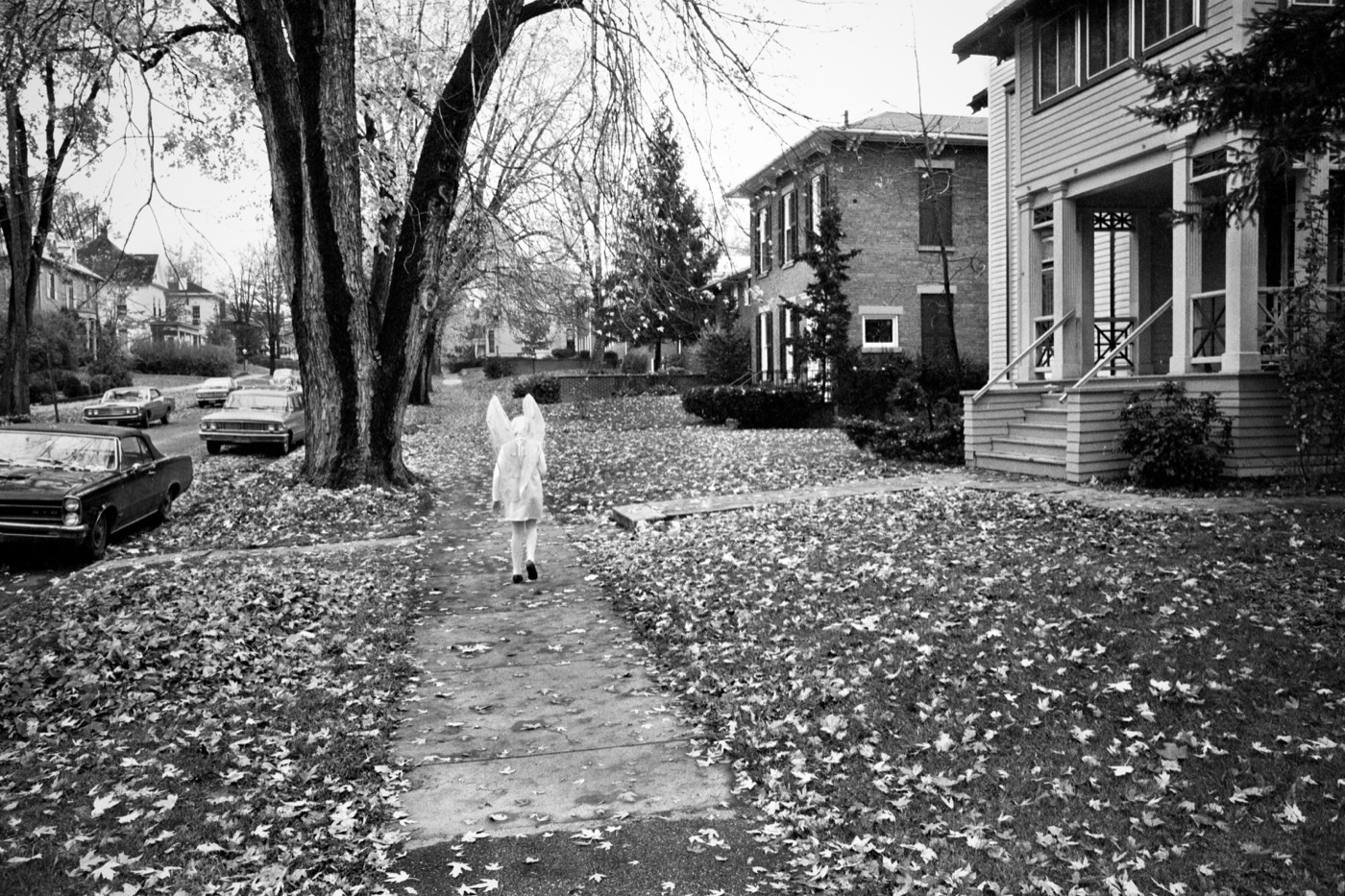 Clark Winter, Halloween, Delaware, Ohio, 1973