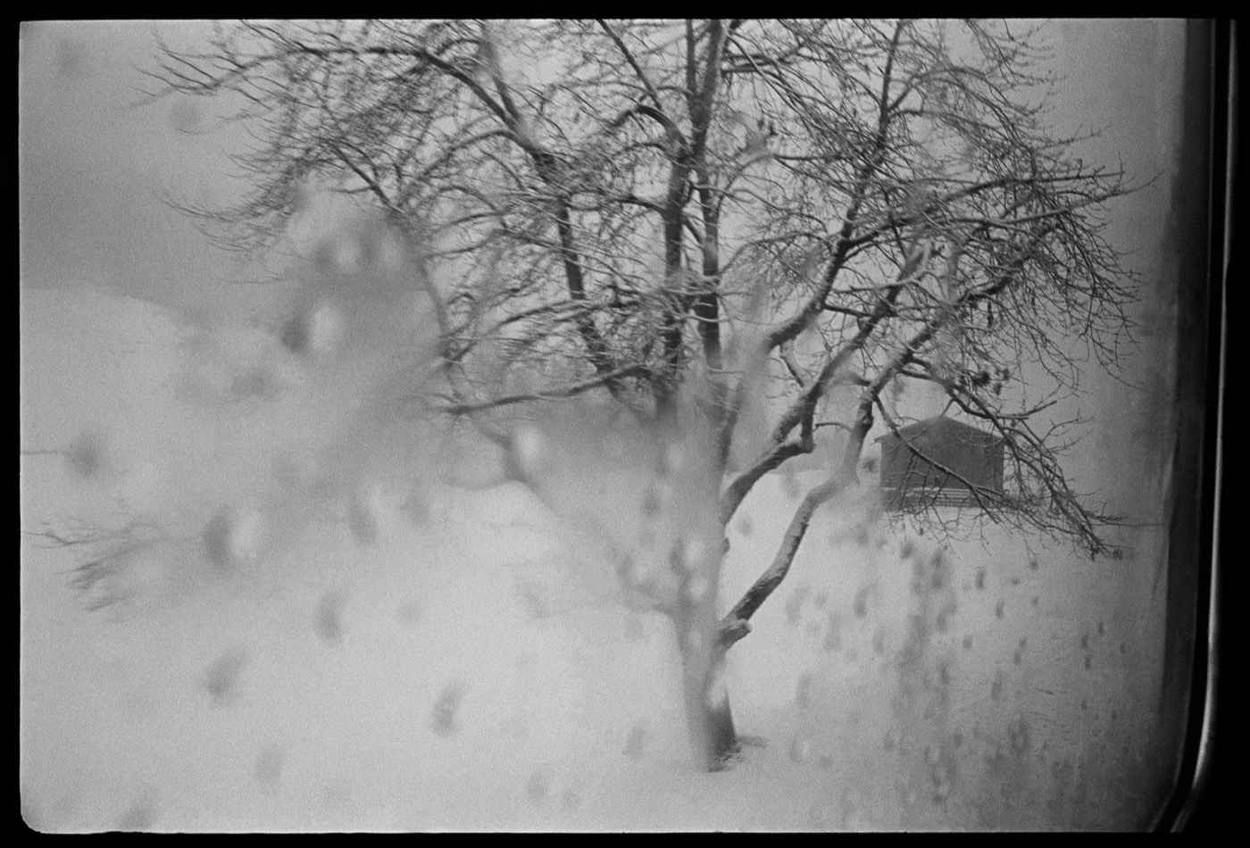 Clark Winter, Davos, Switzerland, 1972
