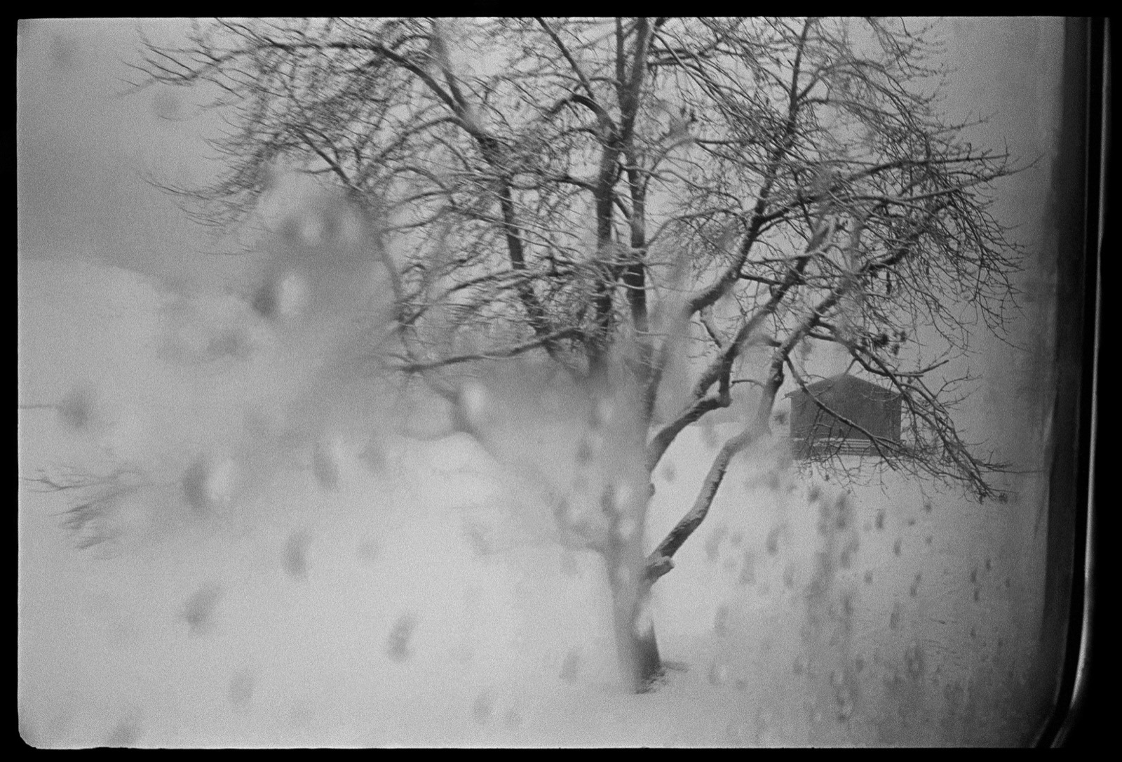 Clark Winter, Davos, Switzerland, 1972