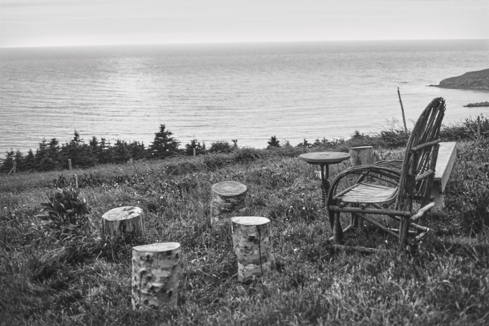 Clark Winter, Gathering West, 1998