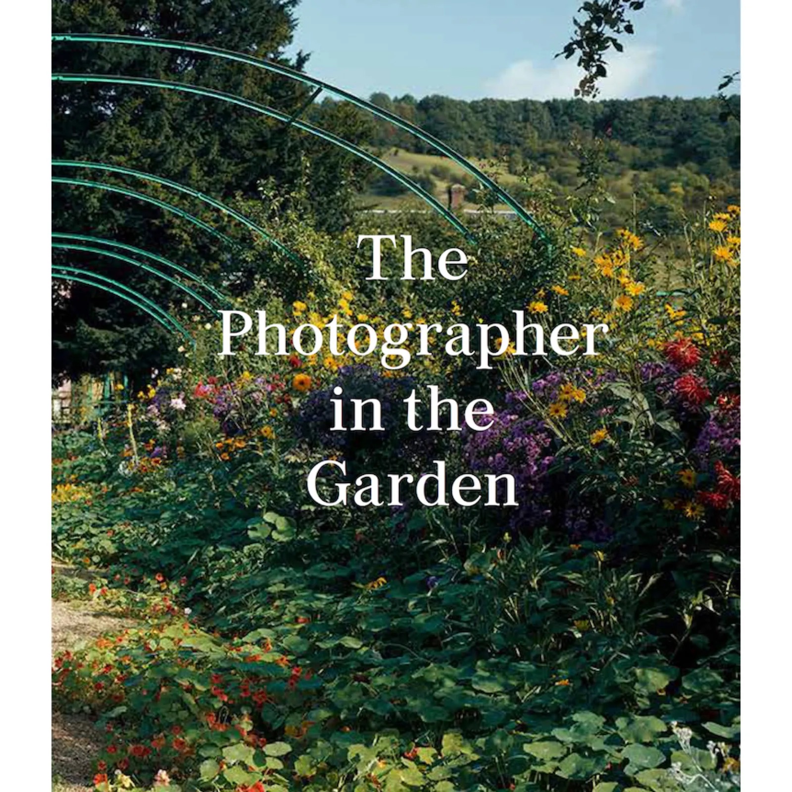 The photographer in the garden