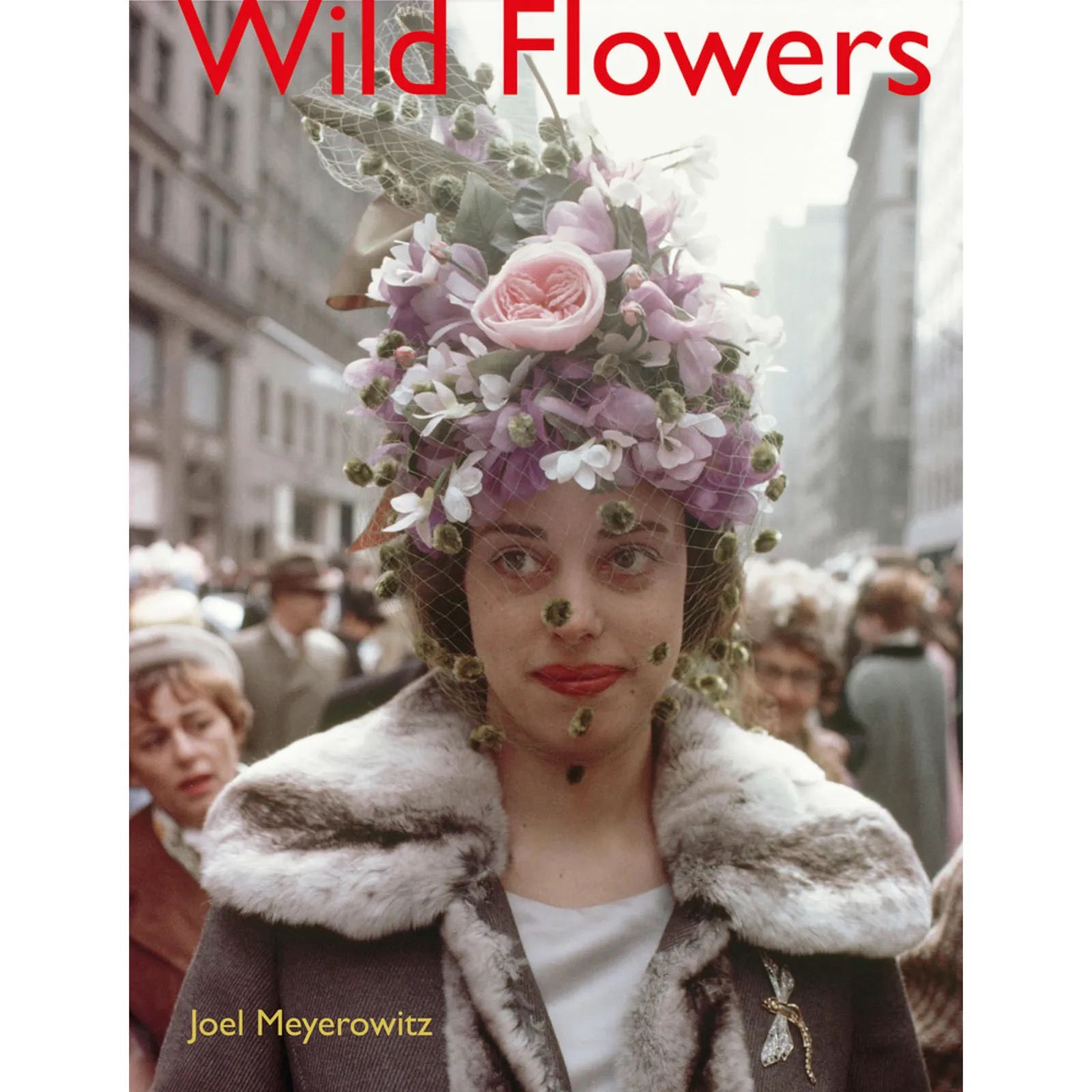 Wild flowers