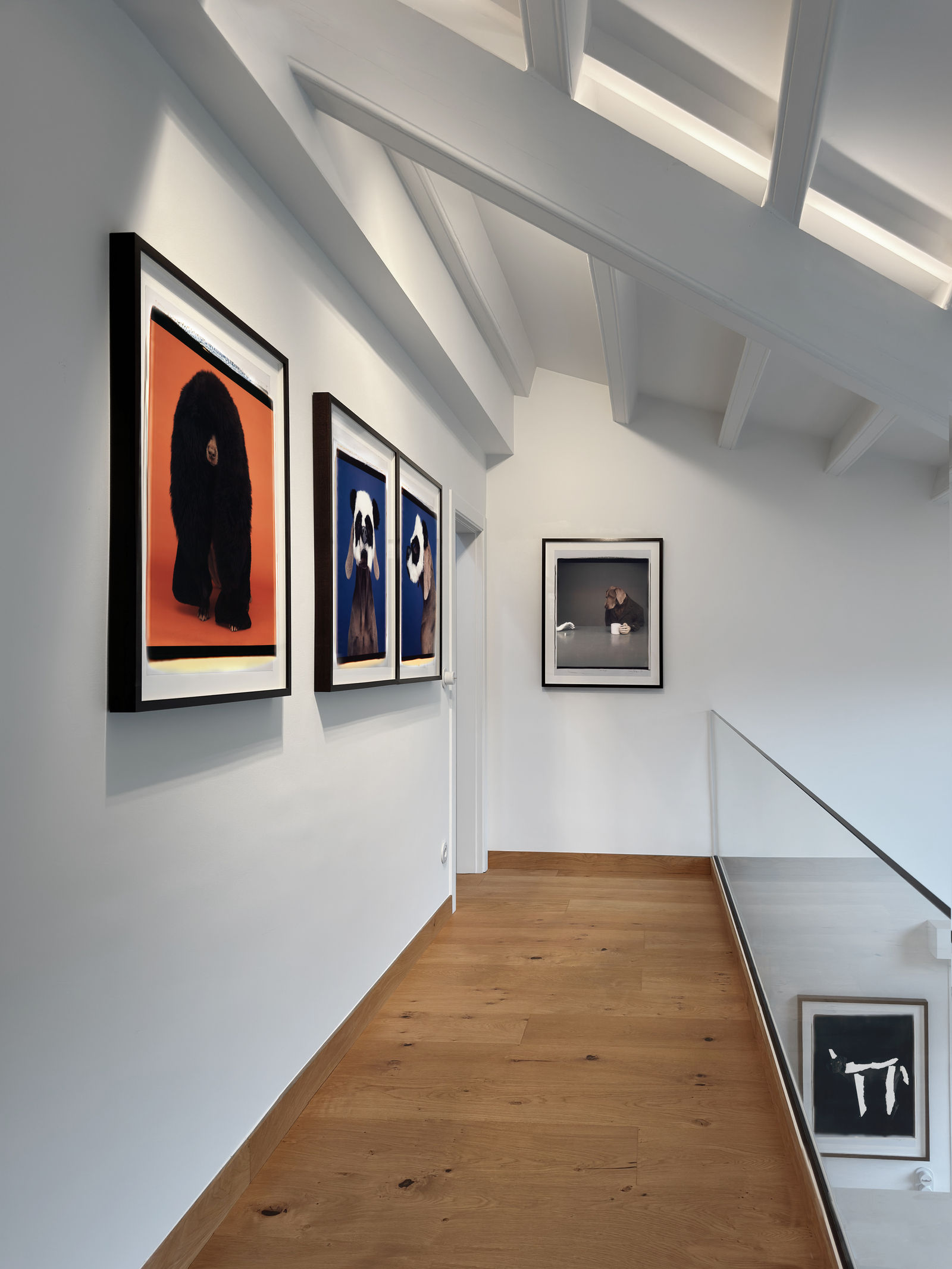 Installation view