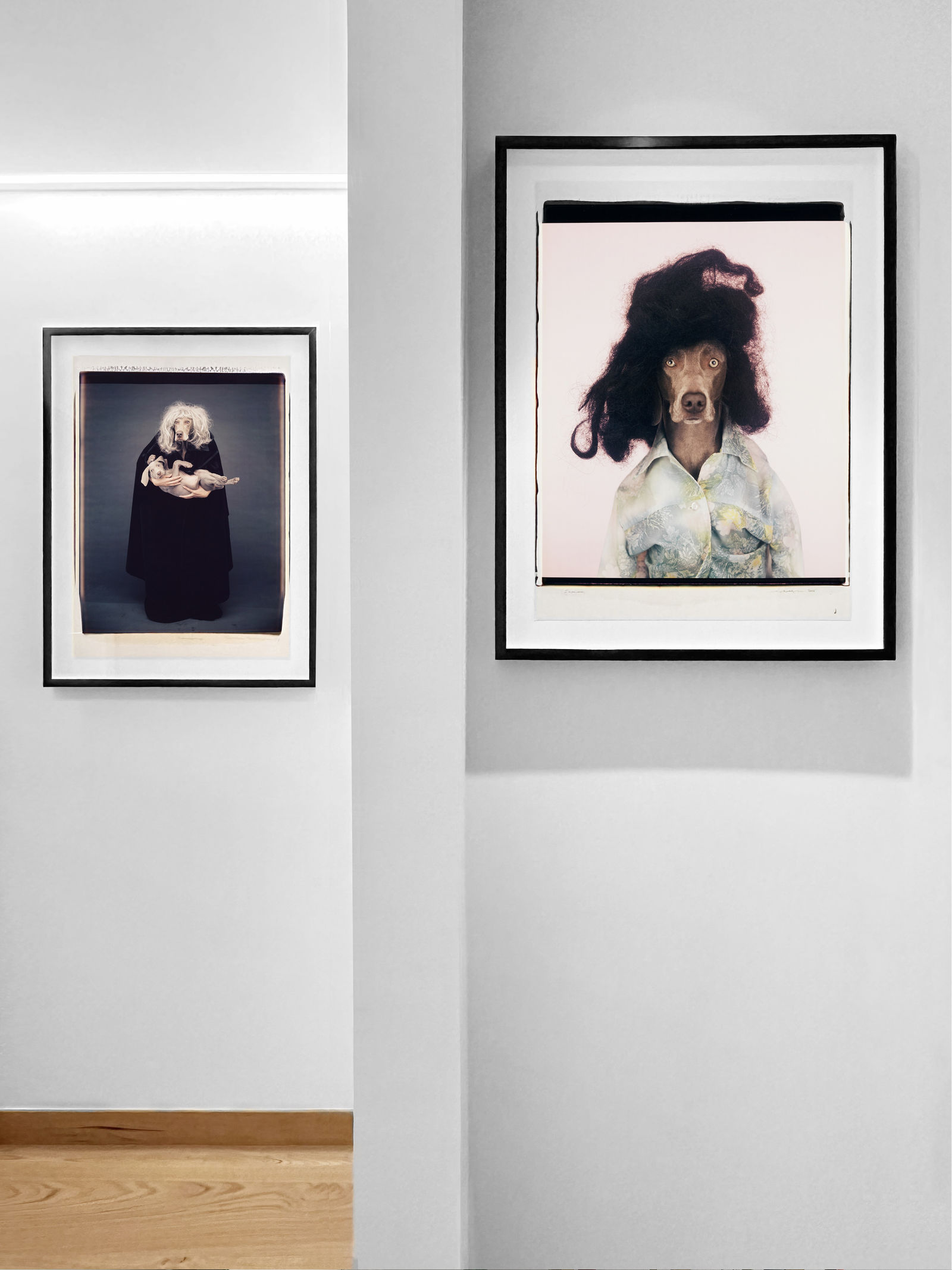 Installation view