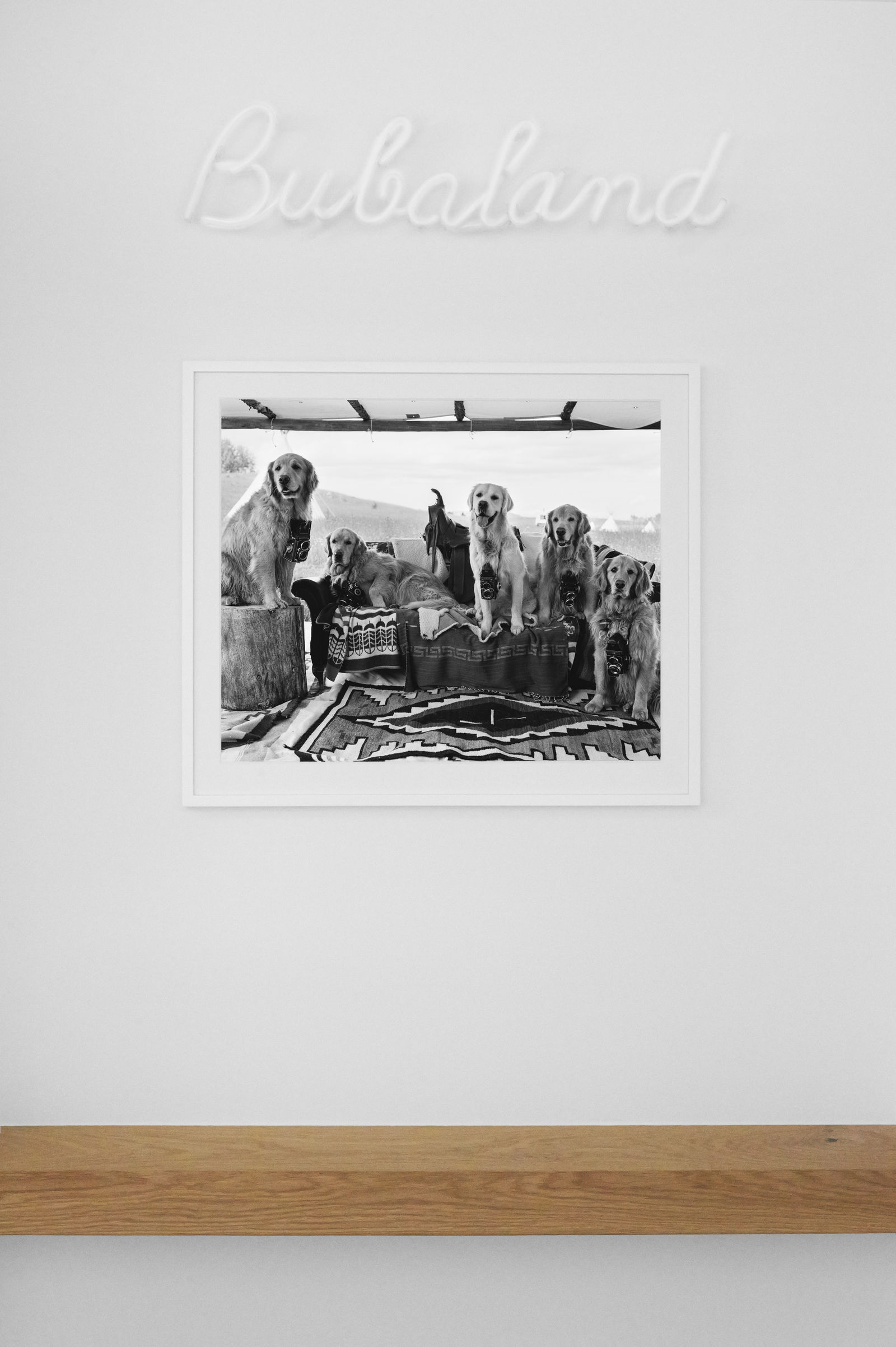 Installation view